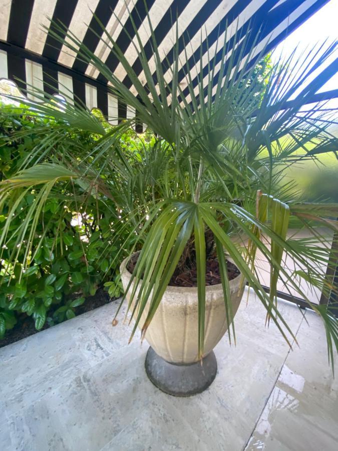 Un Coin de Paradis Cannes Extérieur photo