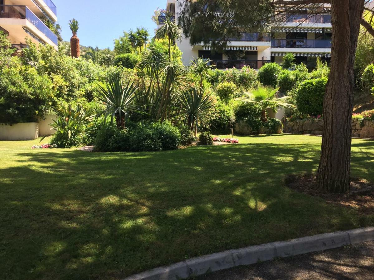 Un Coin de Paradis Cannes Extérieur photo